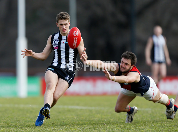 VFL 2016 Rd 18 - Collingwood v Coburg - 461744