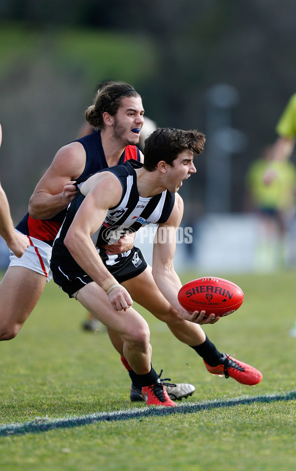 VFL 2016 Rd 18 - Collingwood v Coburg - 461746