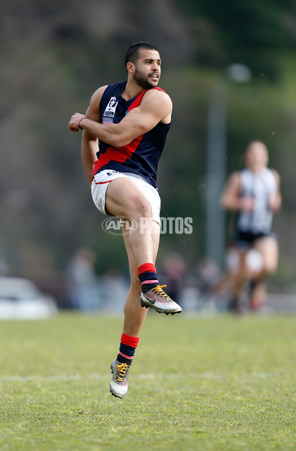 VFL 2016 Rd 18 - Collingwood v Coburg - 461754