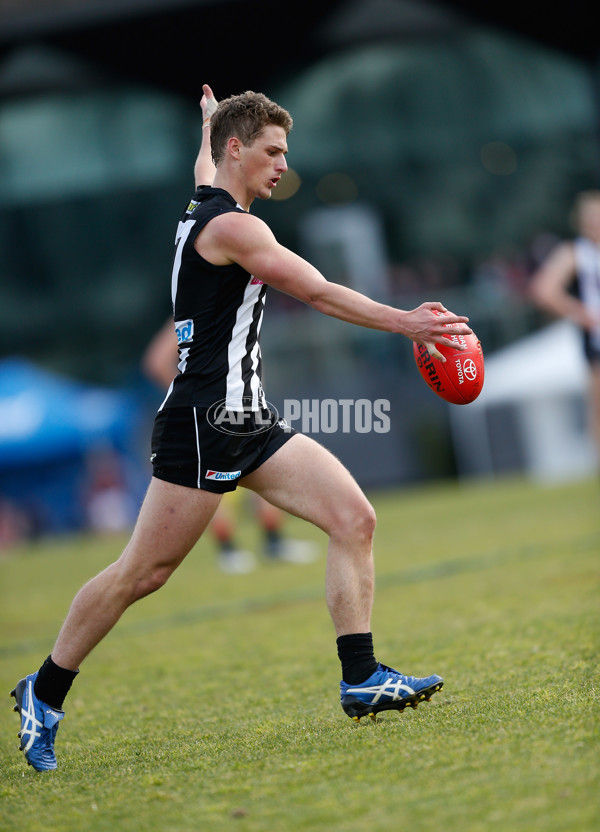 VFL 2016 Rd 18 - Collingwood v Coburg - 461739