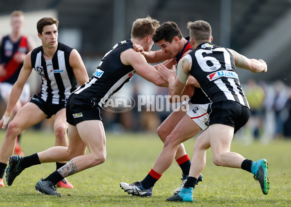 VFL 2016 Rd 18 - Collingwood v Coburg - 461757