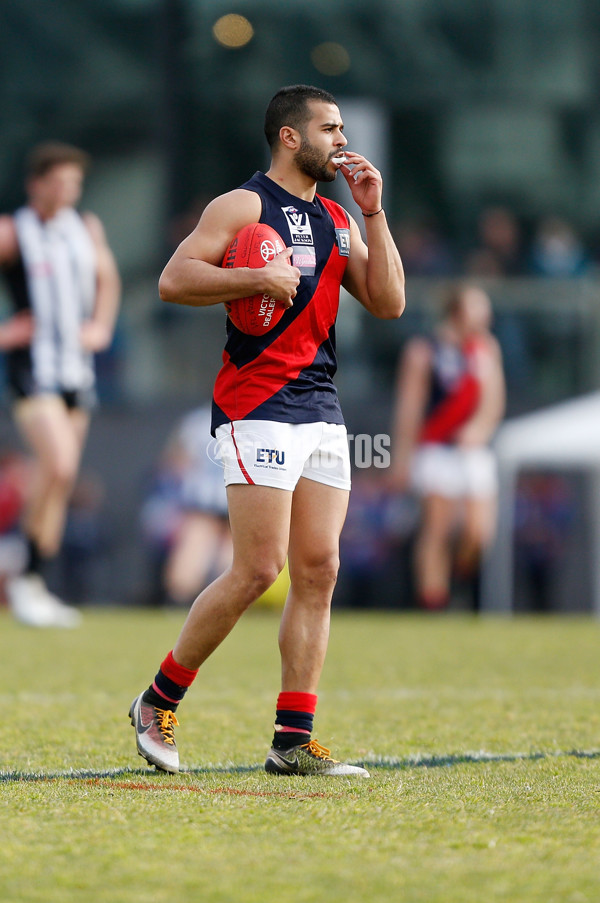 VFL 2016 Rd 18 - Collingwood v Coburg - 461753