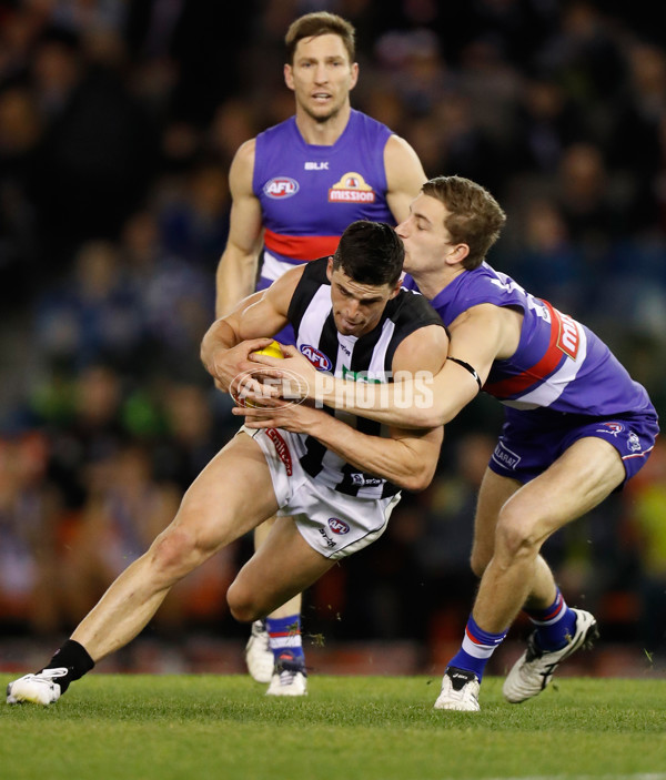 AFL 2016 Rd 21 - Western Bulldogs v Collingwood - 462197