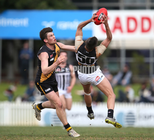 SANFL 2016 Rd 20 - Port Adelaide v Glenelg - 462405