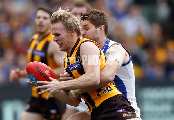 AFL 2016 Rd 21 - Hawthorn v North Melbourne - 462366