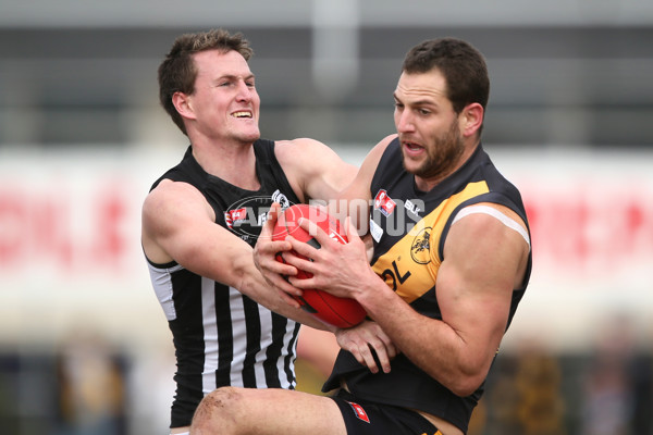 SANFL 2016 Rd 20 - Port Adelaide v Glenelg - 462375