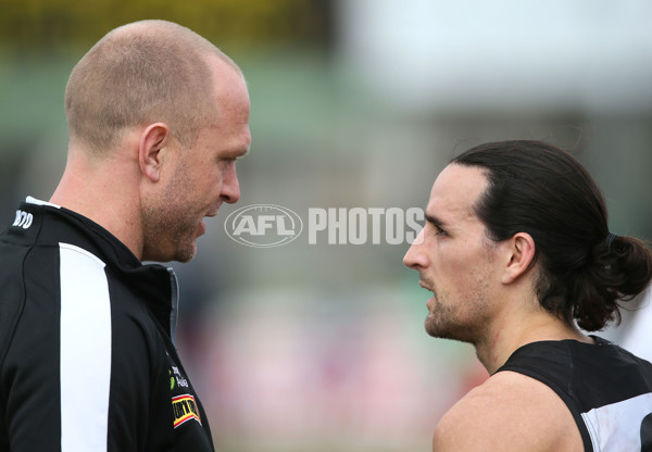 SANFL 2016 Rd 20 - Port Adelaide v Glenelg - 462429