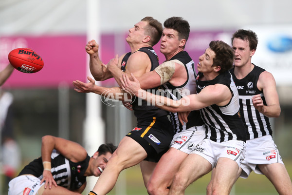 SANFL 2016 Rd 20 - Port Adelaide v Glenelg - 462470