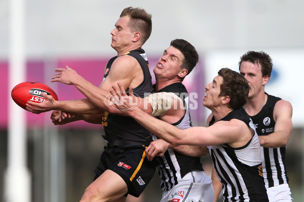 SANFL 2016 Rd 20 - Port Adelaide v Glenelg - 462463