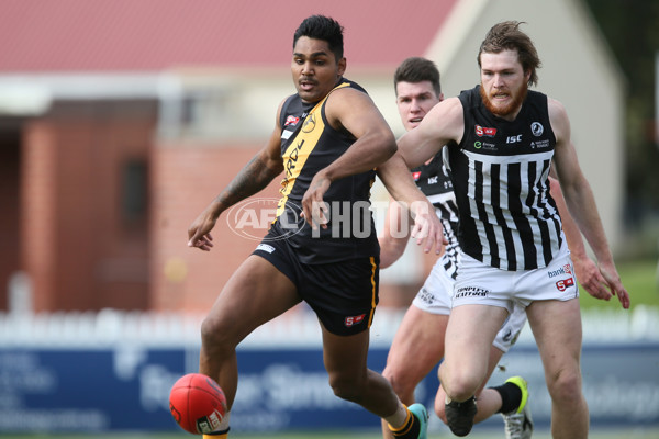 SANFL 2016 Rd 20 - Port Adelaide v Glenelg - 462452