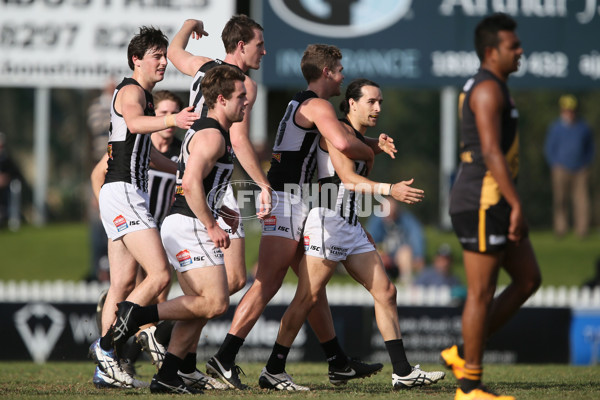 SANFL 2016 Rd 20 - Port Adelaide v Glenelg - 462531