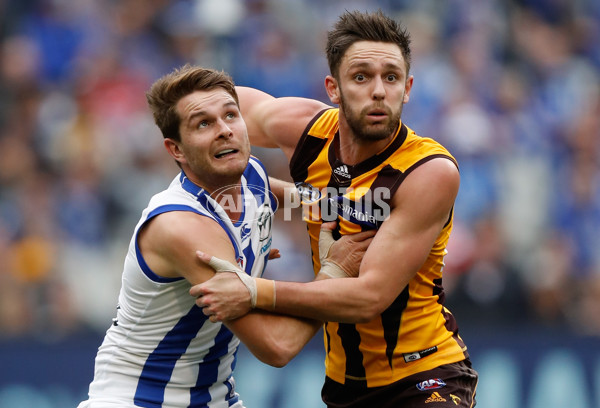 AFL 2016 Rd 21 - Hawthorn v North Melbourne - 462661