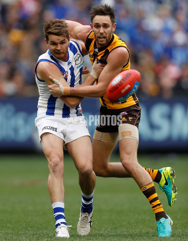 AFL 2016 Rd 21 - Hawthorn v North Melbourne - 462662