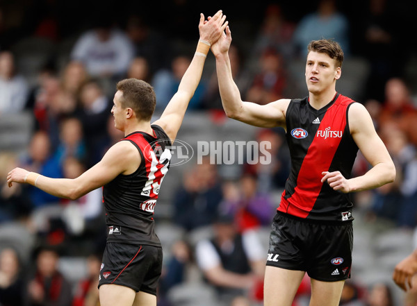 AFL 2016 Rd 21 - Essendon v Gold Coast - 463496