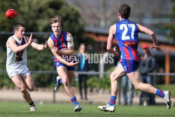 TAC CUP 2016 Rd 16 - Oakleigh Chargers v Sandringham Dragons - 463713