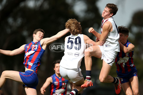 TAC CUP 2016 Rd 16 - Oakleigh Chargers v Sandringham Dragons - 463717