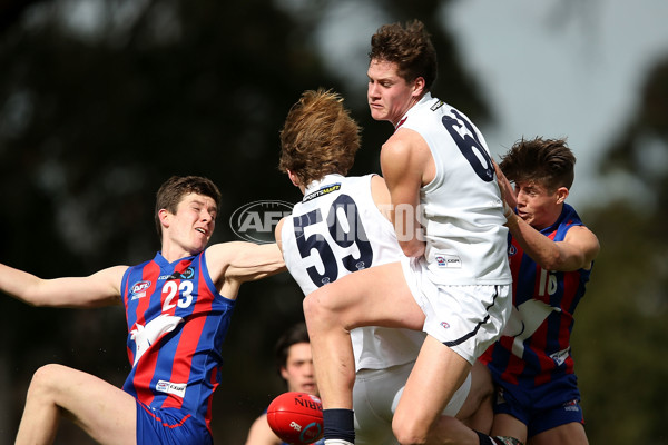 TAC CUP 2016 Rd 16 - Oakleigh Chargers v Sandringham Dragons - 463718