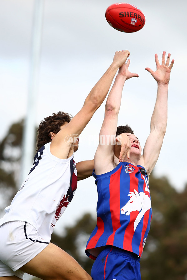 TAC CUP 2016 Rd 16 - Oakleigh Chargers v Sandringham Dragons - 463776