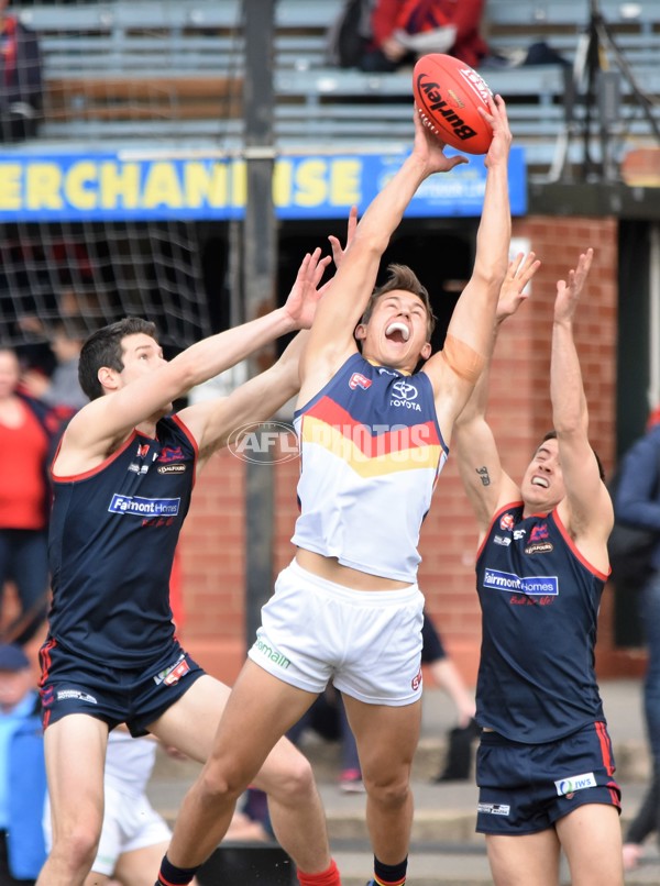 Adelaide 2016 SANFL R20 Norwood - 463853