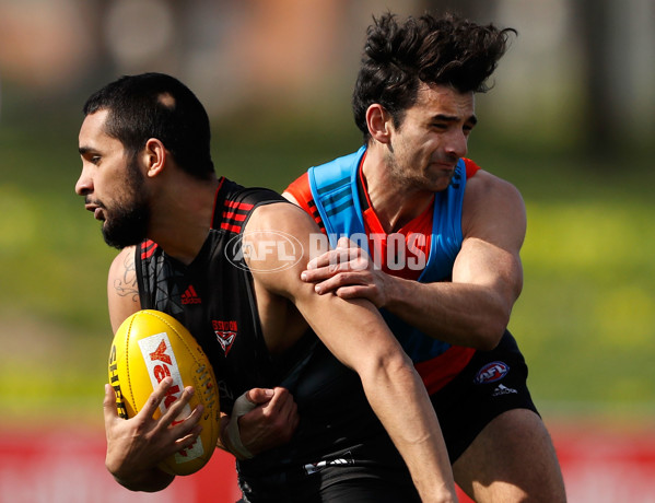AFL 2016 Training - Essendon 180816 - 463949