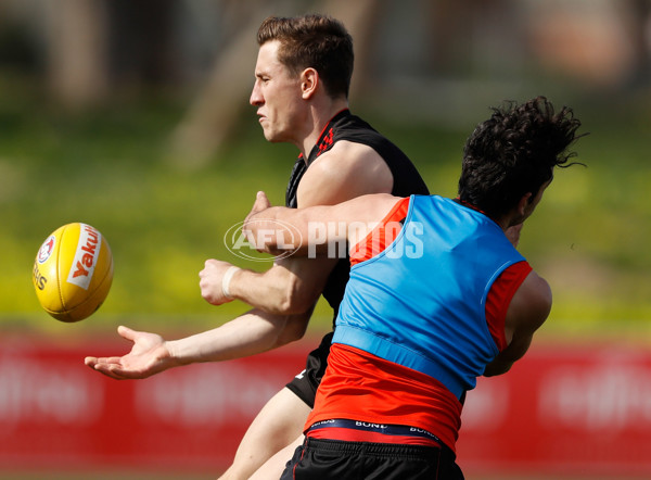 AFL 2016 Training - Essendon 180816 - 463948