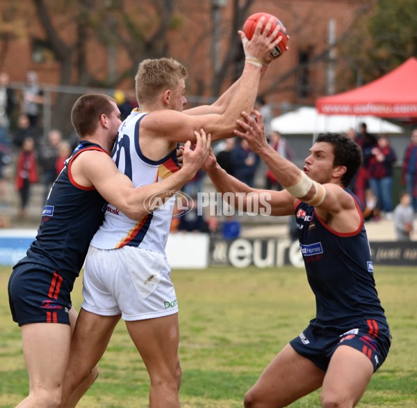 Adelaide 2016 SANFL R20 Norwood - 463852
