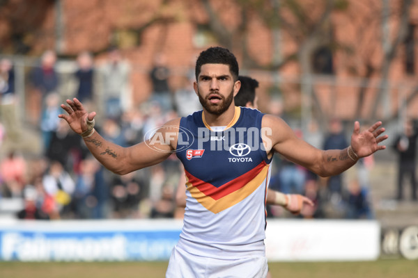 Adelaide 2016 SANFL R20 Norwood - 463855