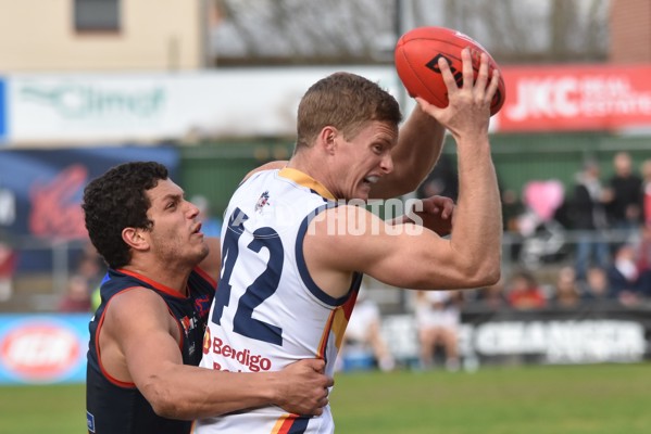 Adelaide 2016 SANFL R20 Norwood - 463861