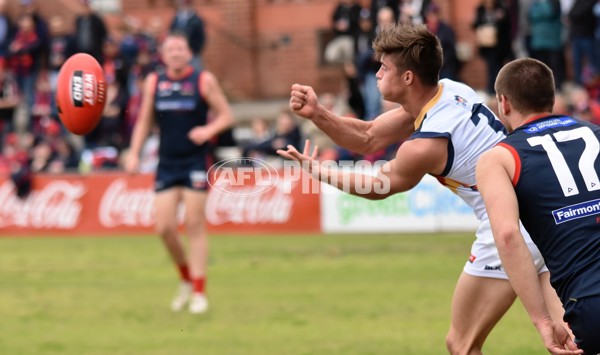 Adelaide 2016 SANFL R20 Norwood - 463866