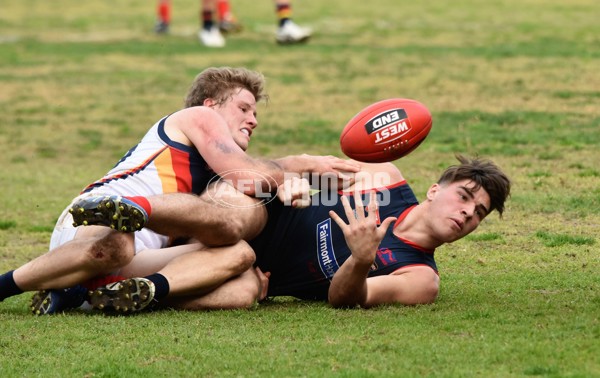 Adelaide 2016 SANFL R20 Norwood - 463880