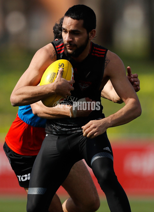 AFL 2016 Training - Essendon 180816 - 463950