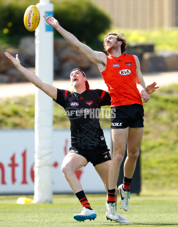 AFL 2016 Training - Essendon 180816 - 463973