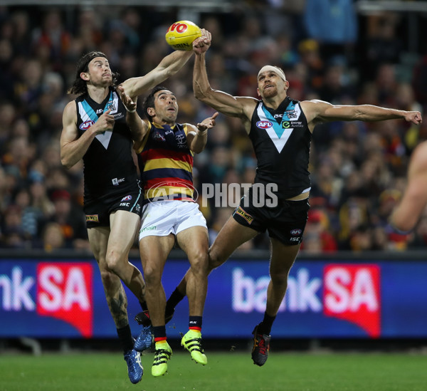 AFL 2016 Rd 22 - Port Adelaide v Adelaide - 464830