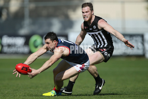 SANFL Rd 21 - Port Adelaide v Norwood - 464905