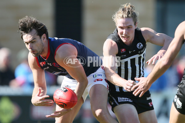 SANFL Rd 21 - Port Adelaide v Norwood - 464913