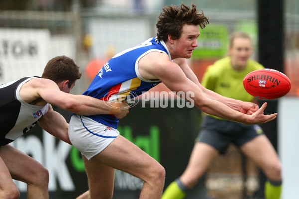 TAC CUP 2016 Rd 17 - North Ballarat Rebels v Eastern Ranges - 465480