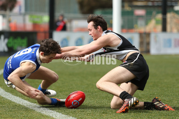TAC CUP 2016 Rd 17 - North Ballarat Rebels v Eastern Ranges - 465469