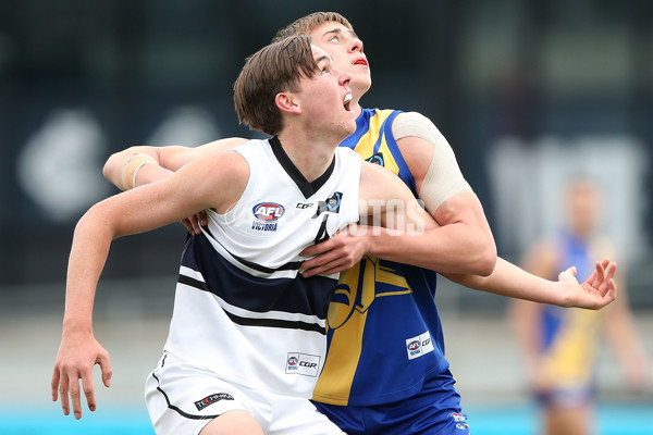 AFL 2016 Rd 18 - Northern Knights v Western Jets - 467407