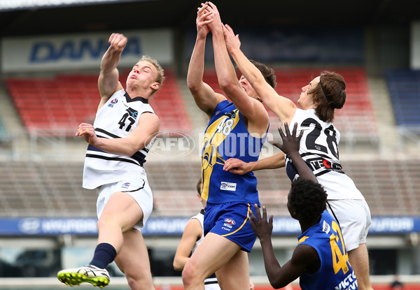 AFL 2016 Rd 18 - Northern Knights v Western Jets - 467473