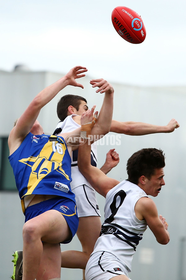 AFL 2016 Rd 18 - Northern Knights v Western Jets - 467476