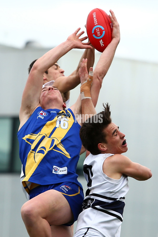 AFL 2016 Rd 18 - Northern Knights v Western Jets - 467486