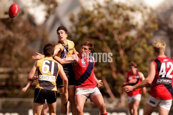 VFL 2016 Rd 21 - Richmond v Coburg - 467613