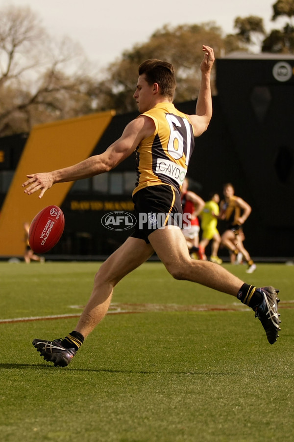 VFL 2016 Rd 21 - Richmond v Coburg - 467604