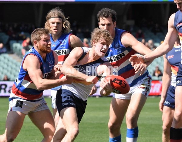 Adelaide 2016 - SANFL Elimination Final - 468350