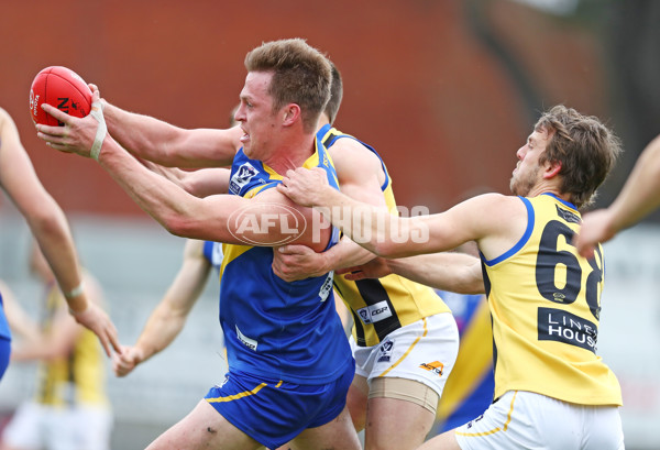 VFL 2016 1st Semi Final - Williamstown v Sandringham - 469725