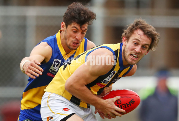 VFL 2016 1st Semi Final - Williamstown v Sandringham - 469728