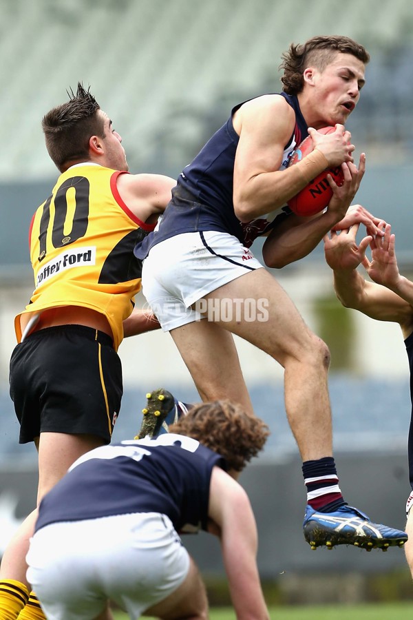 2016 TAC CUP 1st Semi Final - Dandenong Stingrays v Sandringham Dragon - 470395