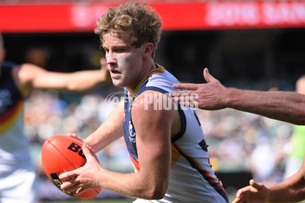 Adelaide 2016 - SANFL SF v South Adelaide - 470712