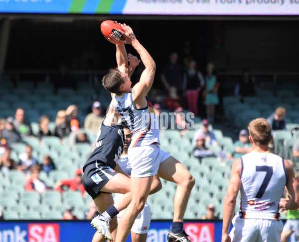 Adelaide 2016 - SANFL SF v South Adelaide - 470697