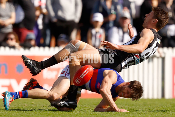 2016 VFL 2nd Preliminary Final - Collingwood v Footscray - 471583